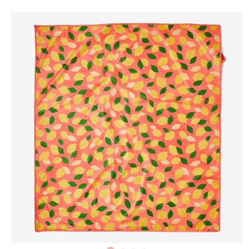 Kate Spade picnic blanket